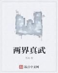 两界真武